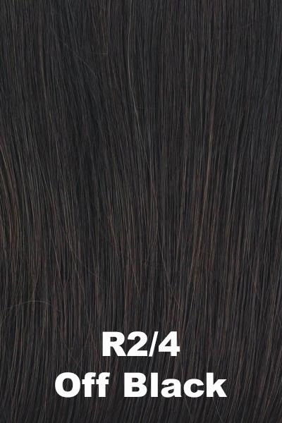Raquel Welch Wigs - In Charge