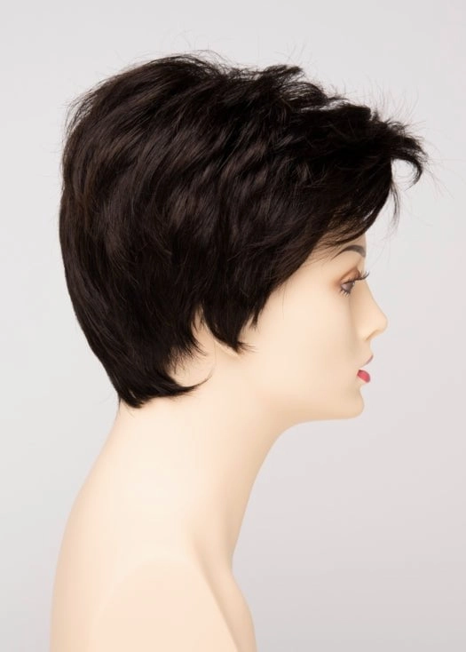 Raven | Synthetic Lace Front Wig (Basic Cap)