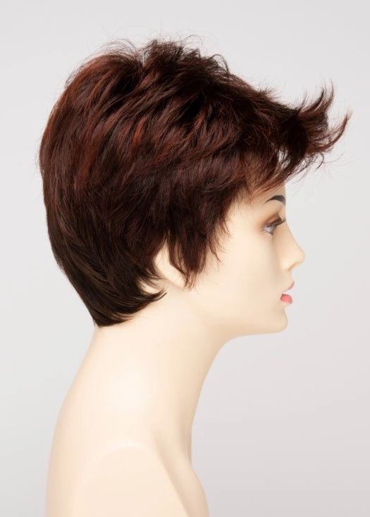Raven | Synthetic Lace Front Wig (Basic Cap)