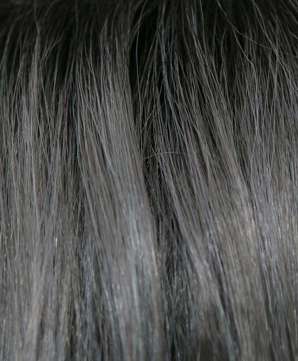 Reign Wig by Amore | Synthetic (Lace Front Mono Top)
