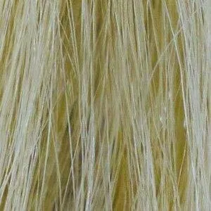 Remy HH Topper 14" by Amore | Human Hair Lace Front (Mono)
