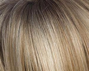 Rohan Wig by Amore | Lace Front Monofilament