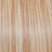 Scene Stealer Wig by Raquel Welch | Heat Friendly Synthetic Lace Front (Mono)