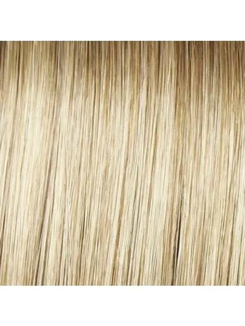 Scene Stealer Wig by Raquel Welch | Heat Friendly Synthetic Lace Front (Mono)
