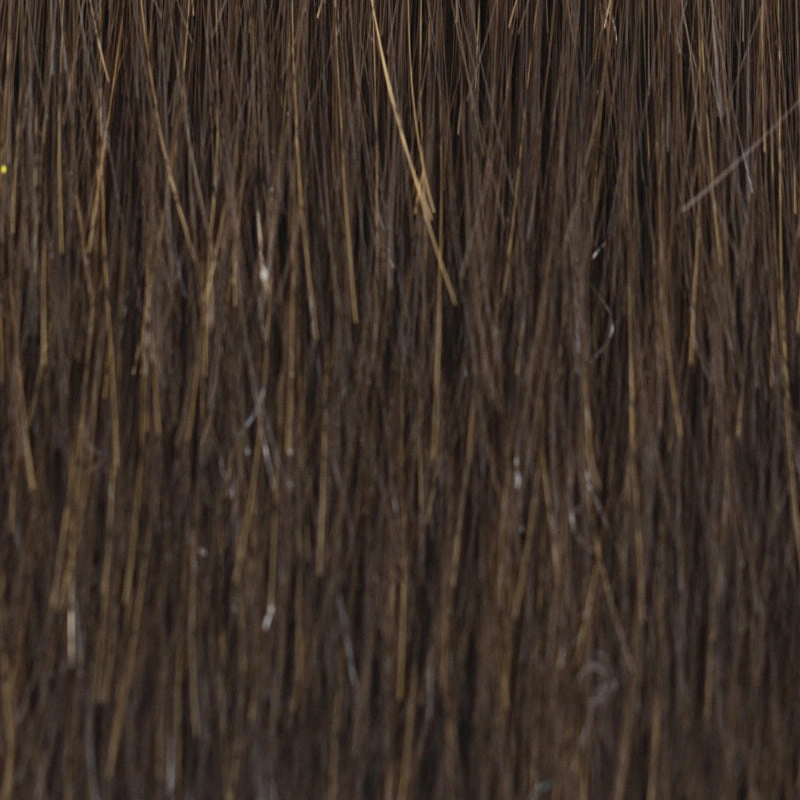 Sheer Joy Wig By TressAllure | Lace Front | Mono Top | Heat Friendly Synthetic