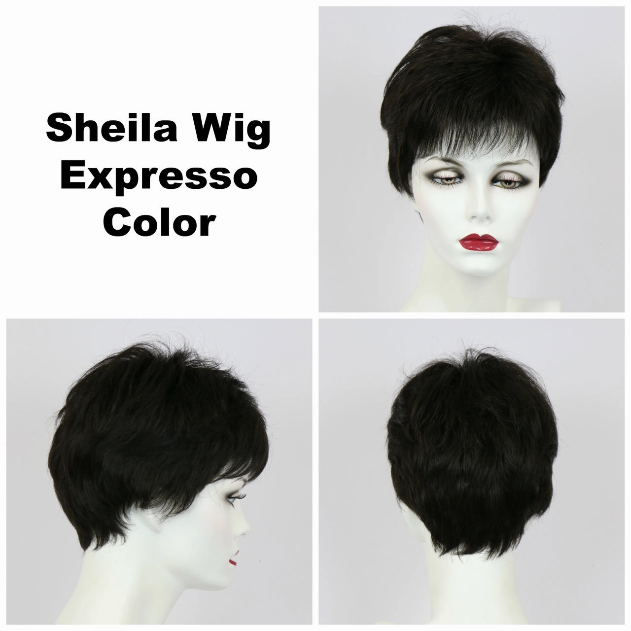 Sheila Wig by Godiva Secret Wigs | Synthetic Hair | Average Cap