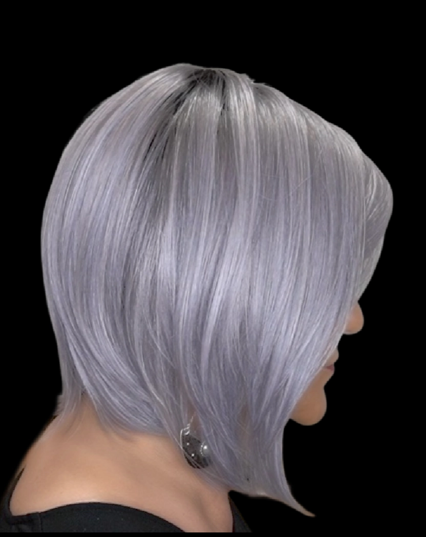 Silky Sleek Wig by Rene of Paris | Heat Friendly Synthetic Hair | Average Cap