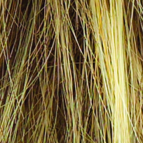 Sparkle Elite Wig by Raquel Welch | Synthetic Hair | Average Cap