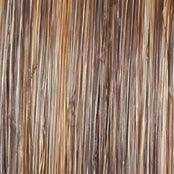 Straight Up With A Twist Elite Wig by Raquel Welch | Heat Friendly Synthetic (Hand Tied)