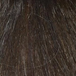 Tasha Wig by Envy | Synthetic (Mono Top)