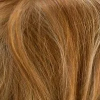 Tatum wig - Amore Rene of Paris