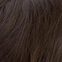 Tatum wig - Amore Rene of Paris