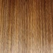 Unspoken Wig by Gabor | Extended Nape (Lace Front Mono Top)