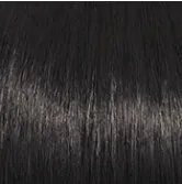 Voltage Large Wig by Raquel Welch | Synthetic (Basic Cap)