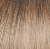 Voltage Petite Wig by Raquel Welch | Synthetic (Basic Cap)