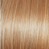 Voltage Petite Wig by Raquel Welch | Synthetic (Basic Cap)
