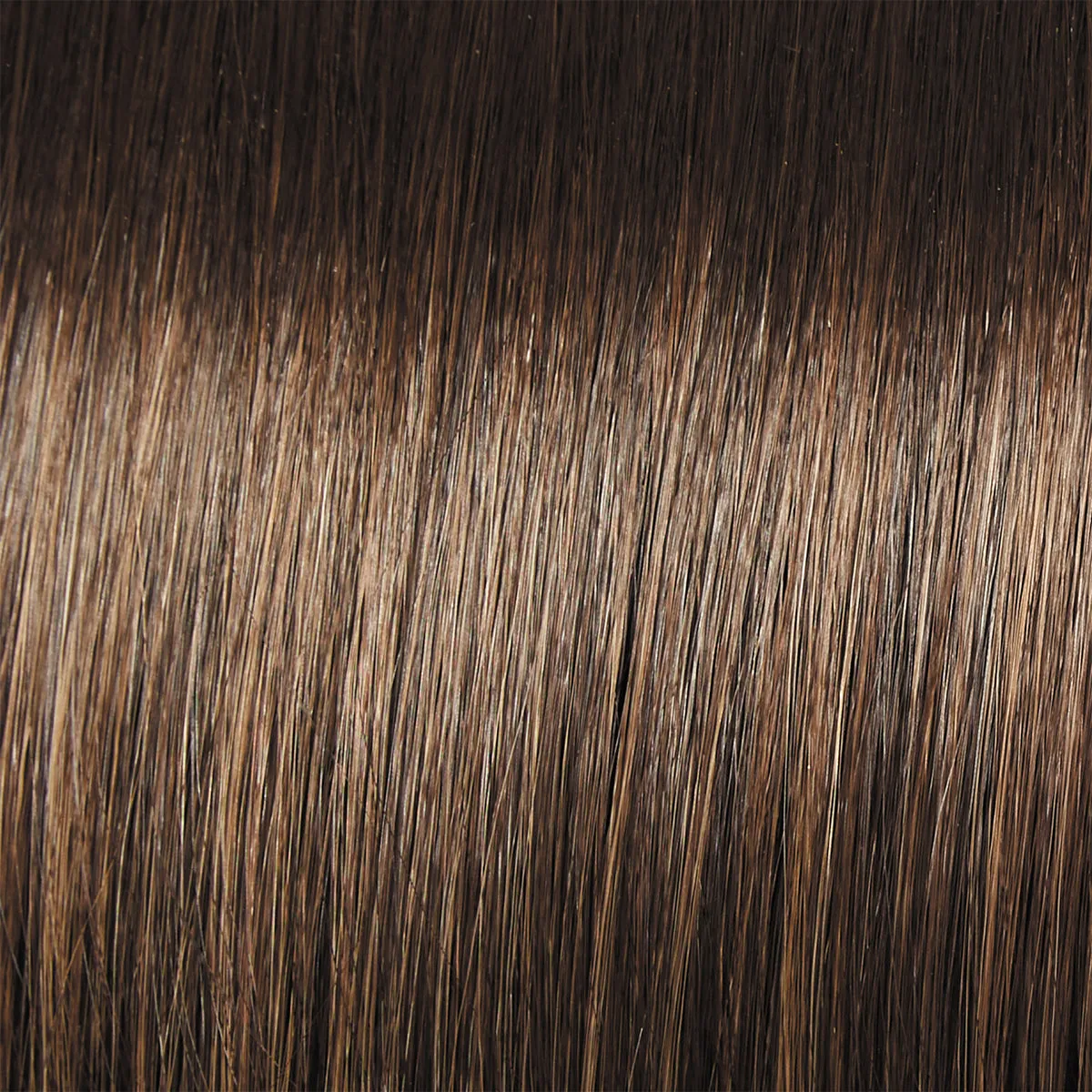 Well Played Wig by Raquel Welch
