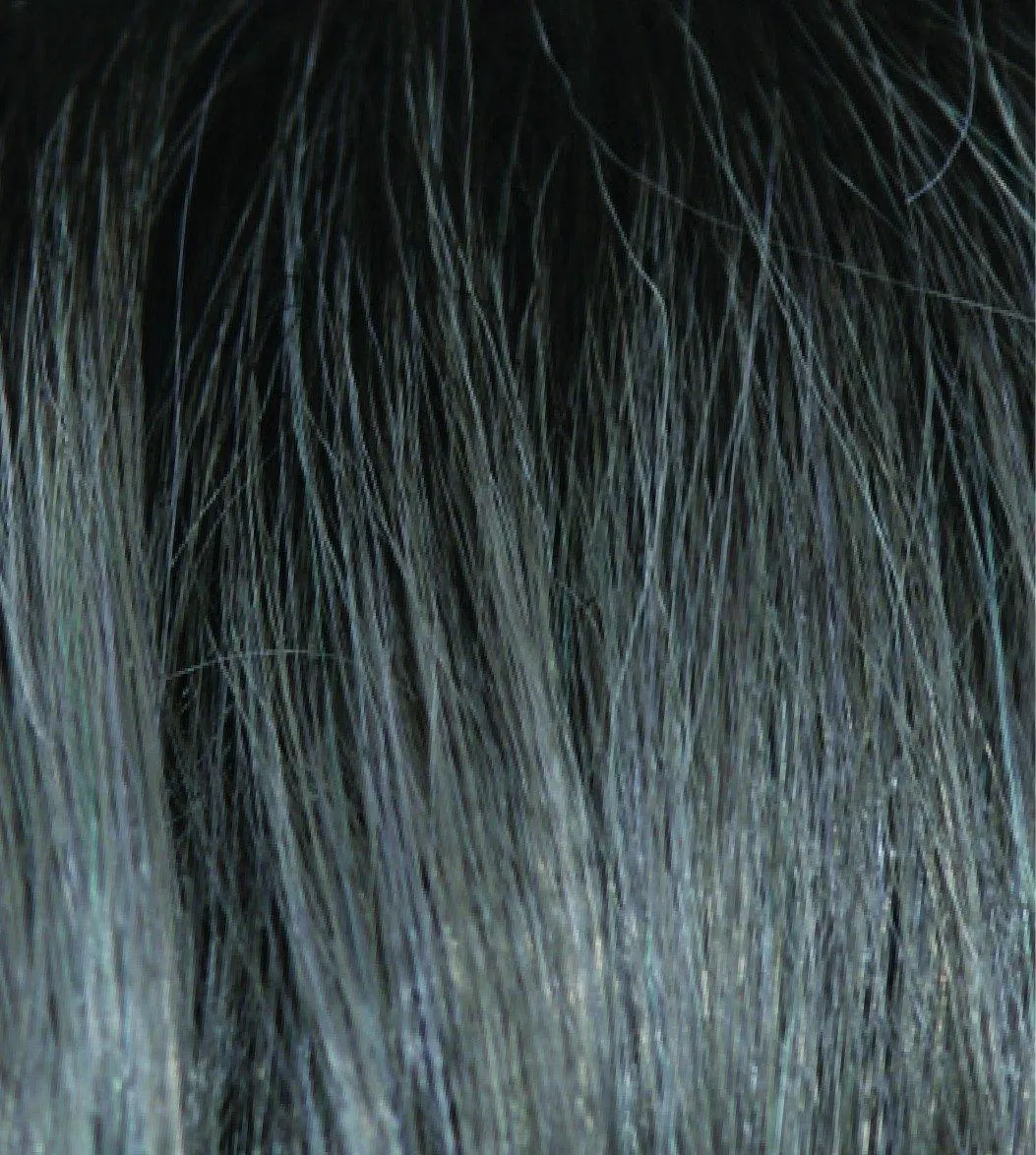 Zion Wig by Noriko | Synthetic (Lace Front Traditional Cap)